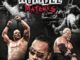 Attitude Era Royal Rumble DVD