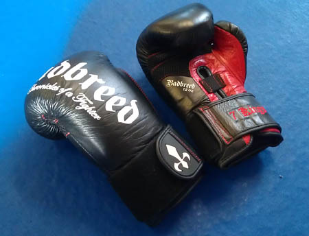 badbreed-7-kings-boxing-gloves-pair