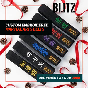 Embroidered belts