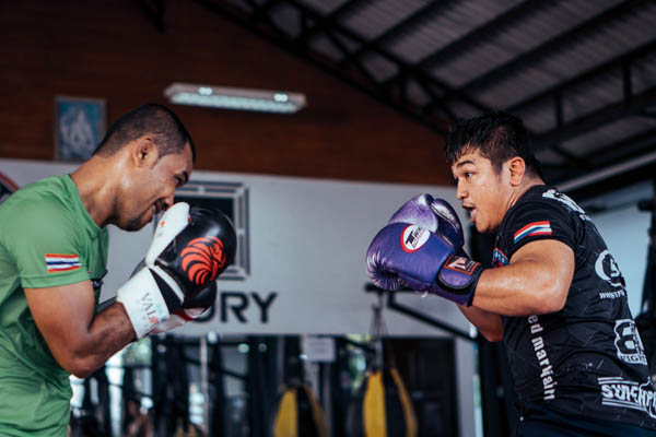 Muay Thai Boxing Gloves