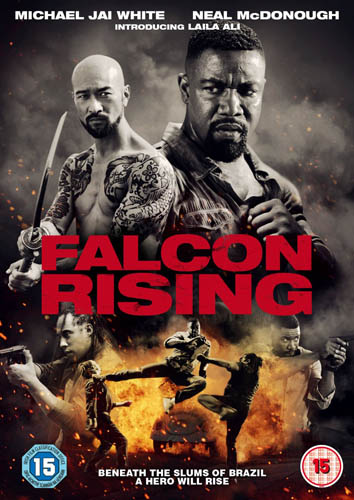 falcon-rising