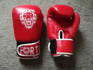 Fortis Renegade Boxing Gloves