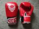 Fortis Renegade Boxing Gloves
