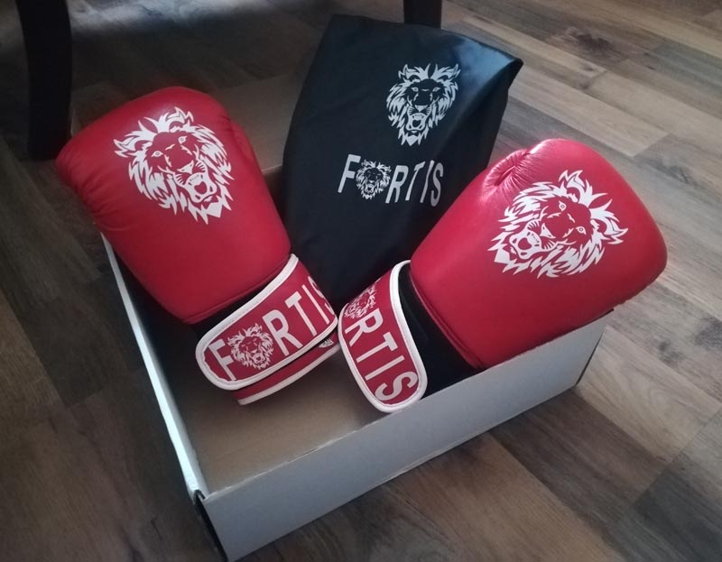 Fortis Renegade Boxing Gloves with Bag