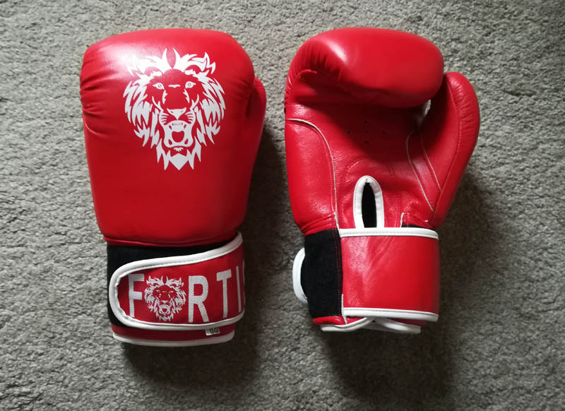 Fortis Renegade Boxing Gloves