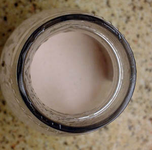 gonutrition-one-shot-strawberries-cream-contents