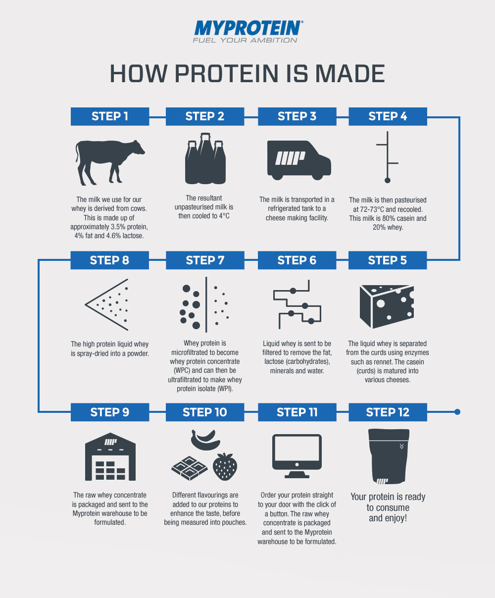 how-protein-is-made