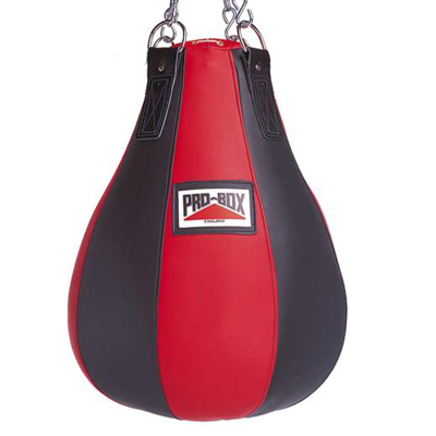 Maize Punch Bags