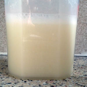 protein-dynamix-dynapro-anytime-vanilla-drink