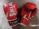 Twins Special Synthetic Boxing Gloves