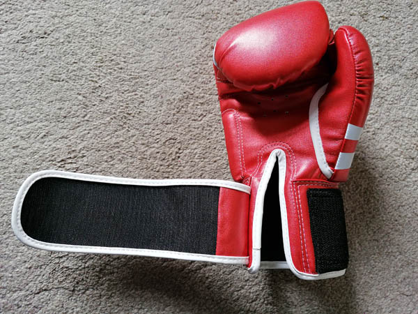 Twins Special Synthetic Leather Boxing Gloves - Wrist Strap