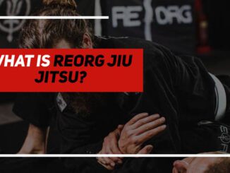 What is Reorg Jiu Jitsu