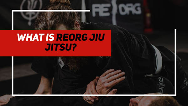 What is Reorg Jiu Jitsu